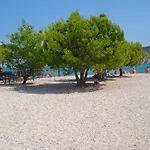 Marija Trogir
